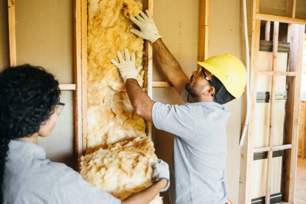 Eco-Friendly or Green Insulation Solutions in Lucas, TX