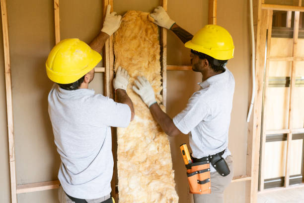 Trusted Lucas, TX Insulation Experts